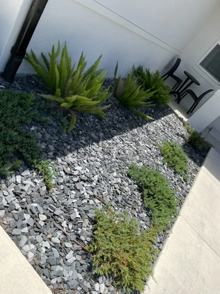 Reliable lawn mowing service experts serving Astor, FL - Noah’s Ark Lawn Maintenance Landscaping