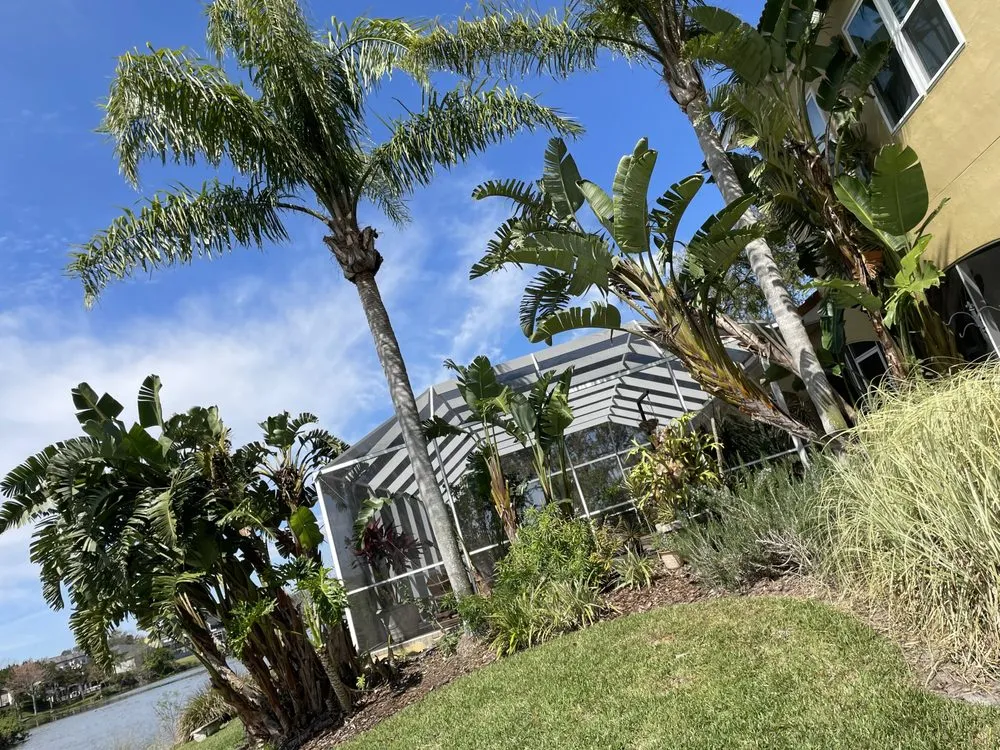 Affordable landscaping services in Astor, FL - Noah’s Ark Lawn Maintenance Landscaping