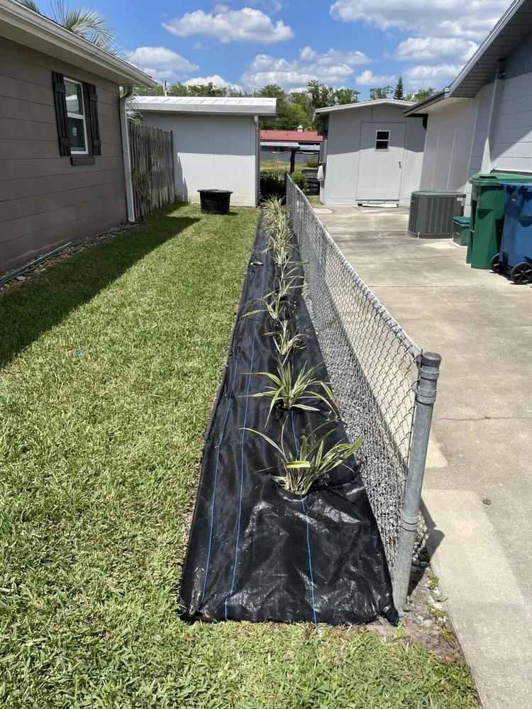 Reliable yard maintenance for year-round maintenance in Astor, FL by Noah’s Ark Lawn Maintenance Landscaping