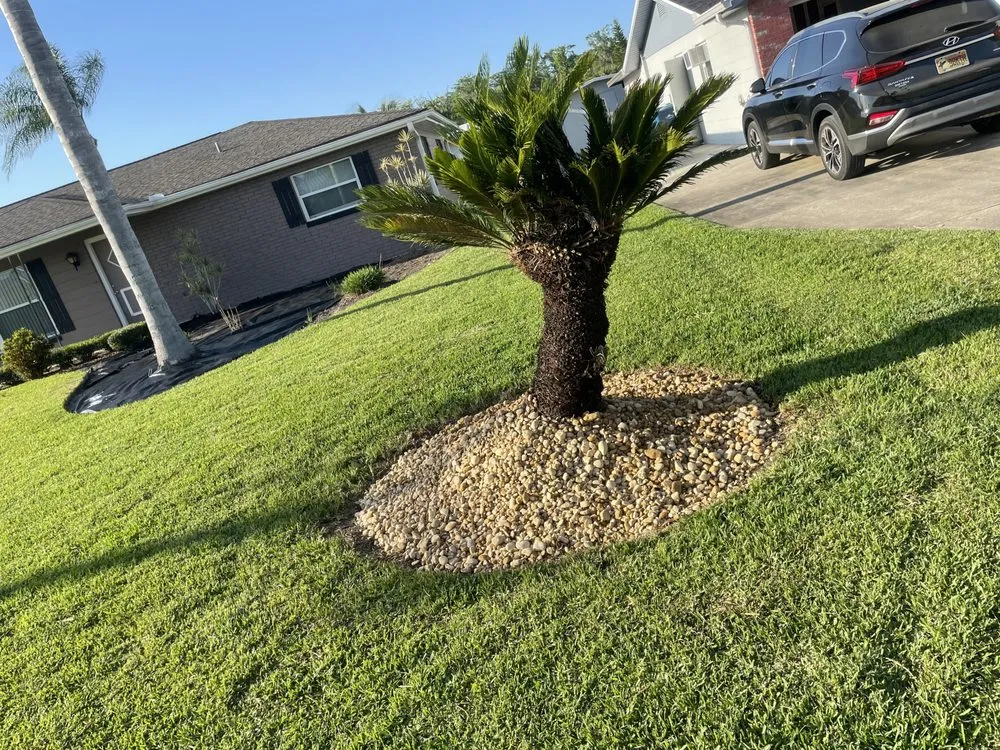 Top-rated outdoor landscaping in Astor, FL by Noah’s Ark Lawn Maintenance Landscaping