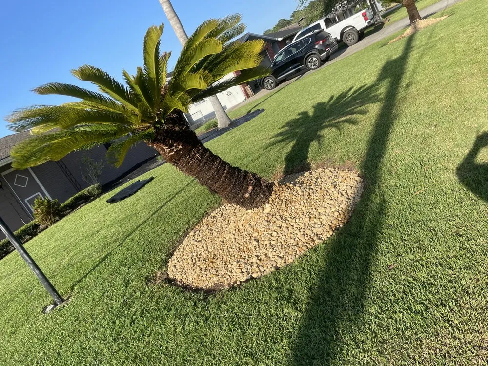Trusted landscape installation in Astor, FL - Noah’s Ark Lawn Maintenance Landscaping