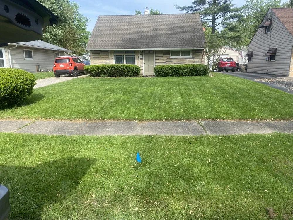 Custom lawn care service experts serving Austintown, OH - Noah’s