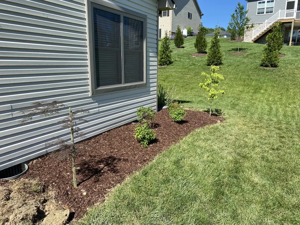 Expert lawn care service in Harrisonburg, VA by Noah’s handyman services