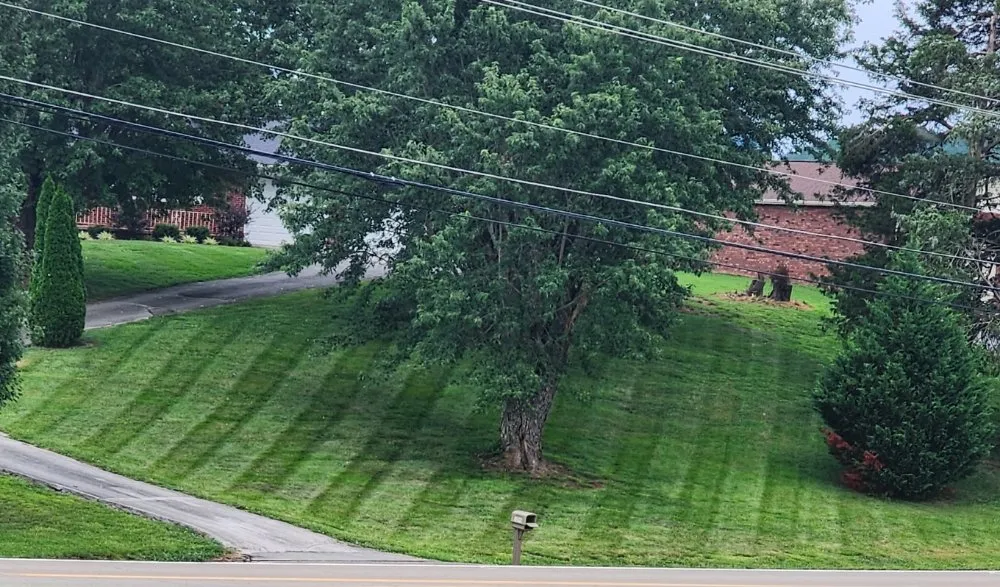 Top-rated lawn care service experts serving Kodak, TN - Noah's Landscapes & Services