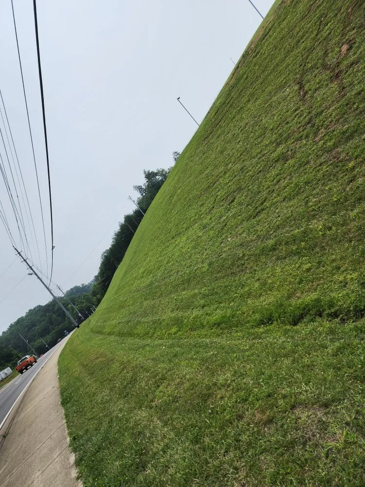 Professional residential landscaping in Kodak, TN by Noah's Landscapes & Services
