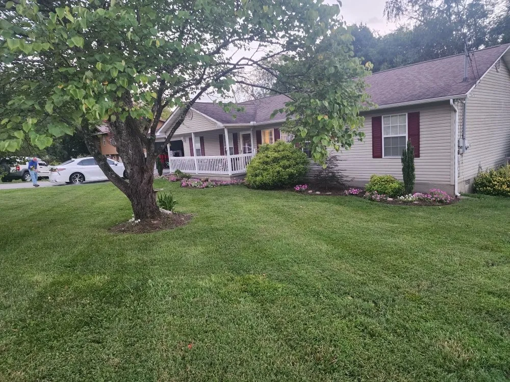 Top-rated landscaping services for residential properties across Kodak, TN - Noah's Landscapes & Services