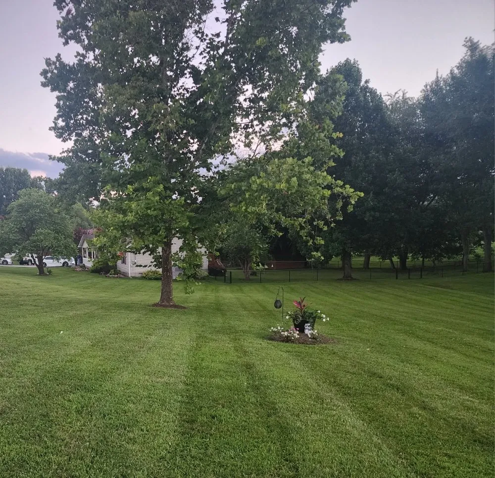 Custom landscape installation in Kodak, TN - Noah's Landscapes & Services