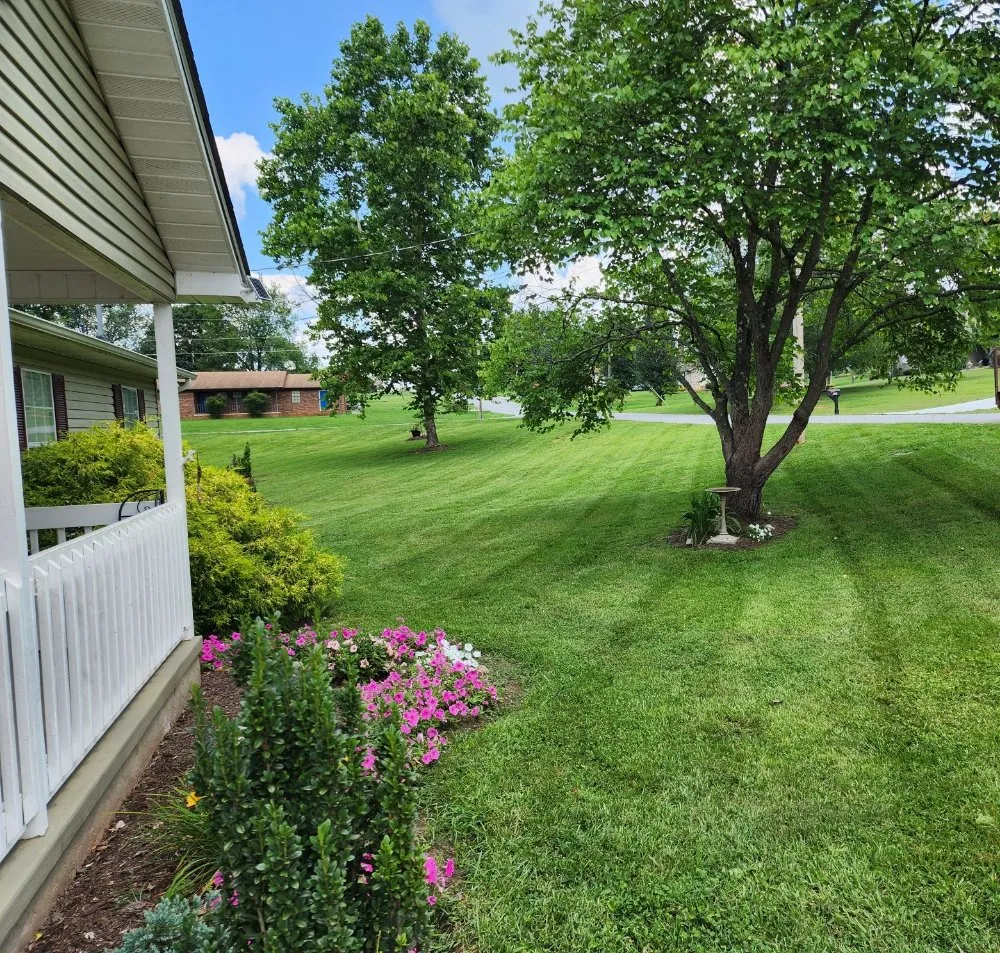 Local outdoor landscaping in Kodak, TN - Noah's Landscapes & Services