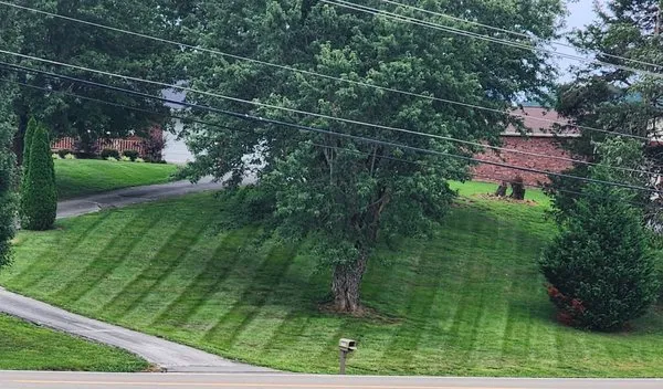 Noah's Landscapes & Services