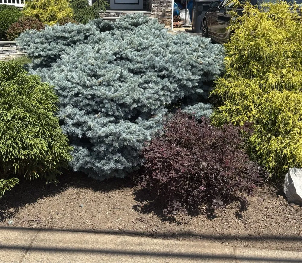 Expert lawn care service for outdoor upgrades across College Park, MD - Noah’s Lawn Care