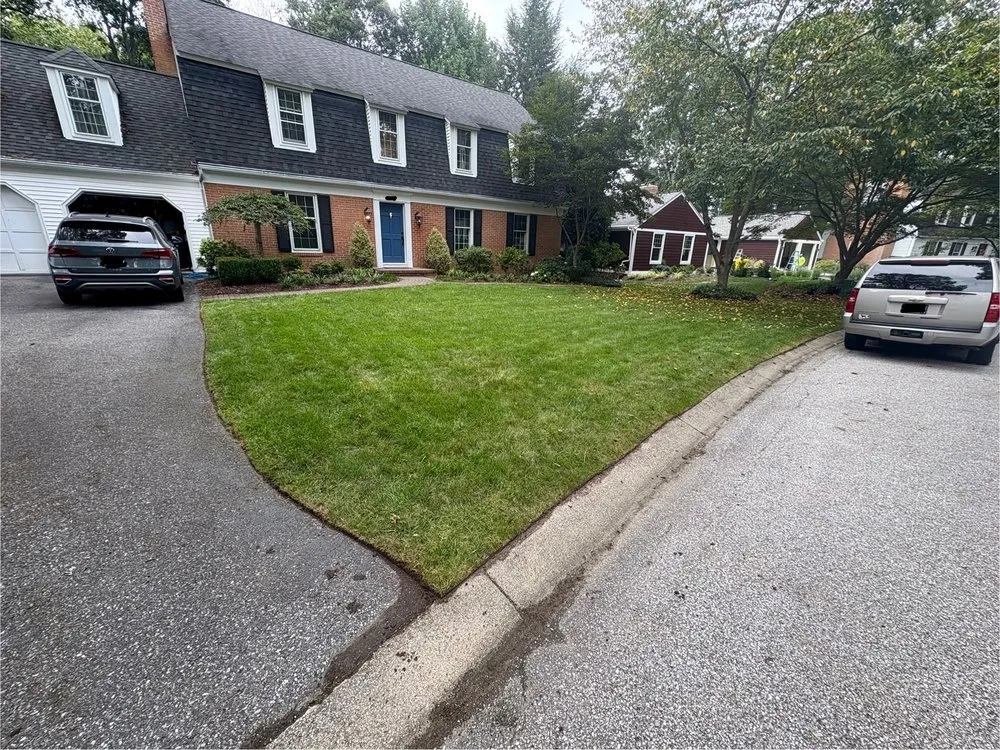 Reliable yard cleanup service in College Park, MD by Noah’s Lawn Care