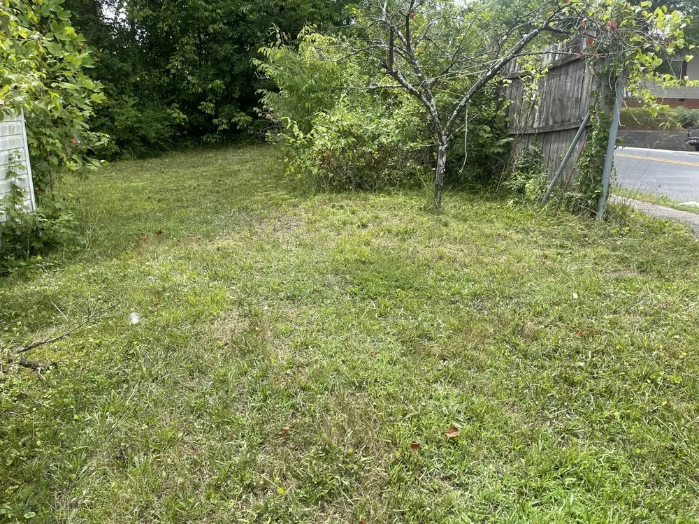 Reliable yard cleanup service in Dalton, GA by Noahs Lawn Care