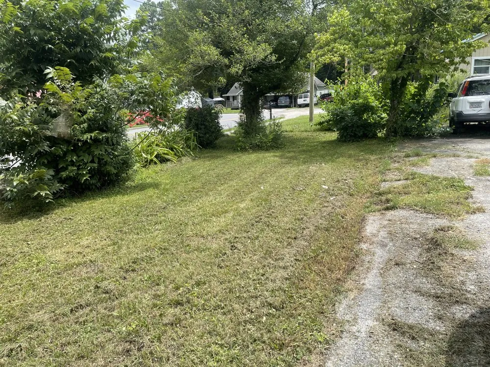 Reliable yard cleanup service in Dalton, GA by Noahs Lawn Care