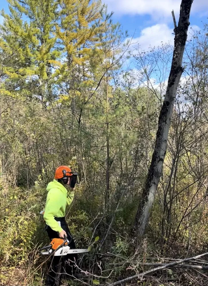Local yard cleanup service in Fairfax, VT by Noahs Lawn care