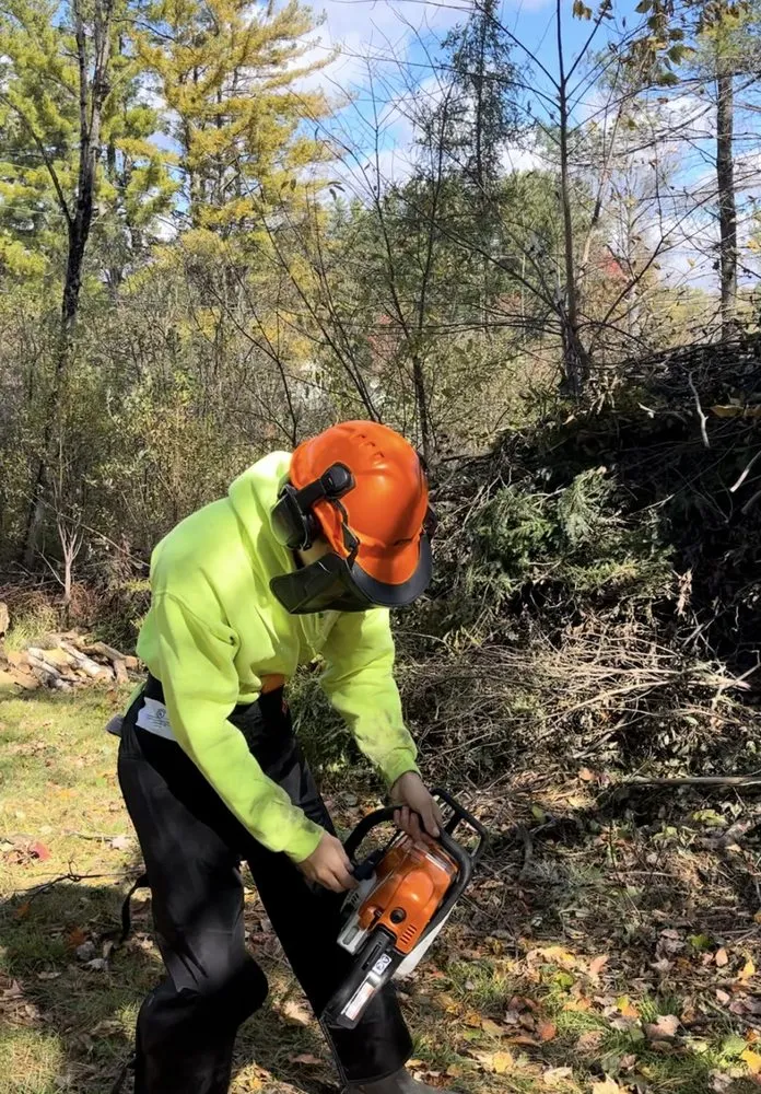 Affordable yard cleanup service in Fairfax, VT - Noahs Lawn care