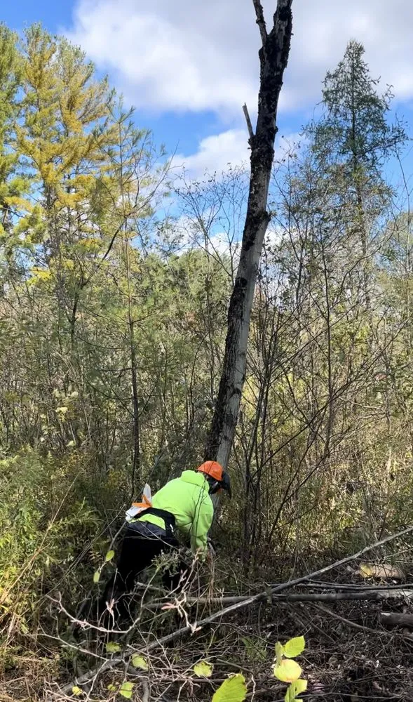 Professional landscape design for outdoor upgrades in Fairfax, VT by Noahs Lawn care