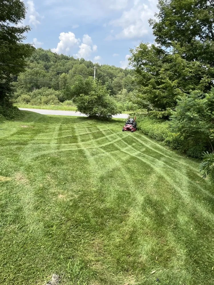 Expert lawn care service in Fairfax, VT - Noahs Lawn care
