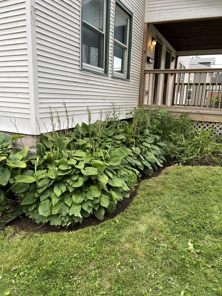 Reliable lawn care service in Fairfax, VT by Noahs Lawn care