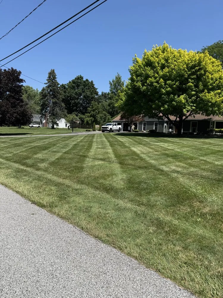 Affordable landscaping services experts serving Mentor, OH - Noah's Lawn Care