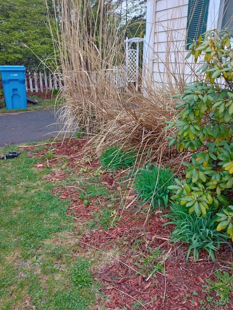 Local yard maintenance experts serving New Haven, CT - Noah's lawn care