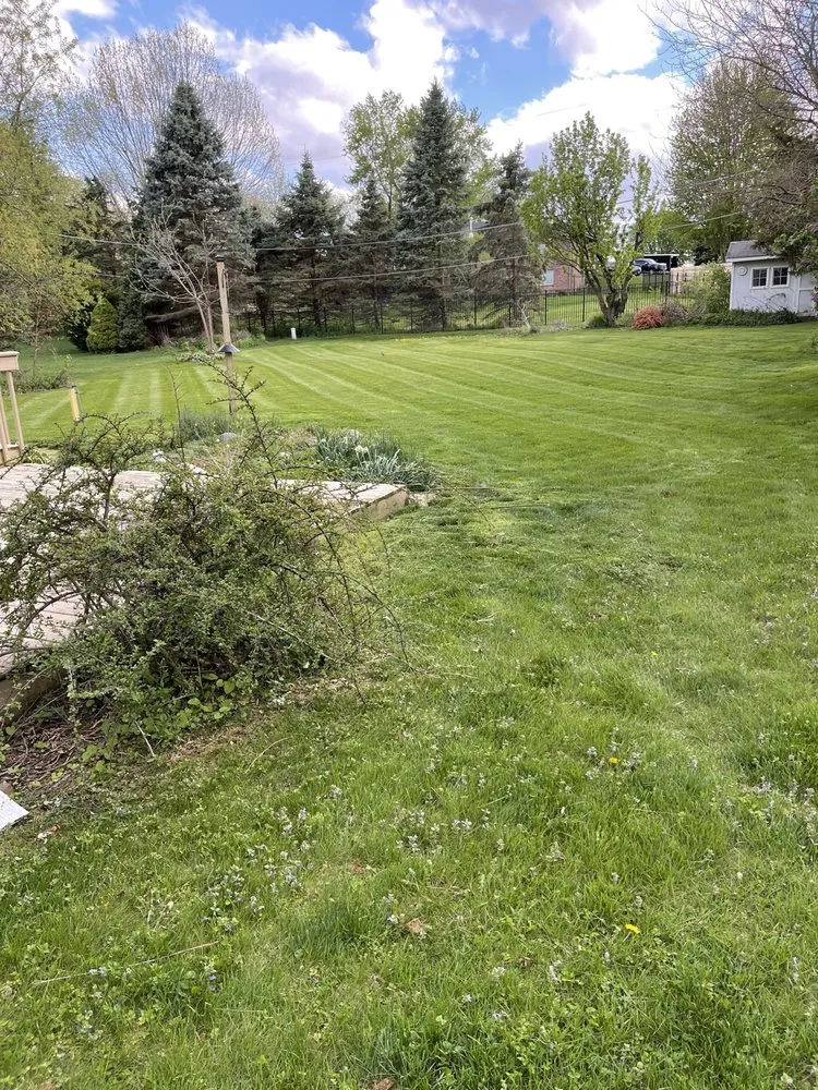 Local lawn care service in Rockford, IL by Noah’s Lawn Care