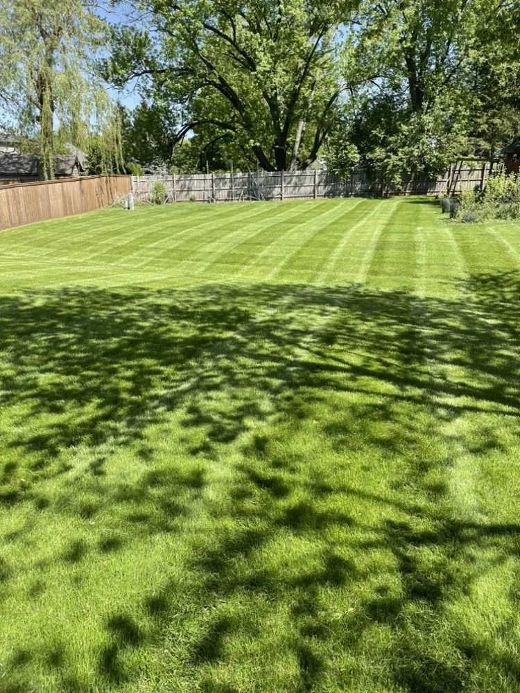 Local outdoor landscaping in Rockford, IL by Noah’s Lawn Care