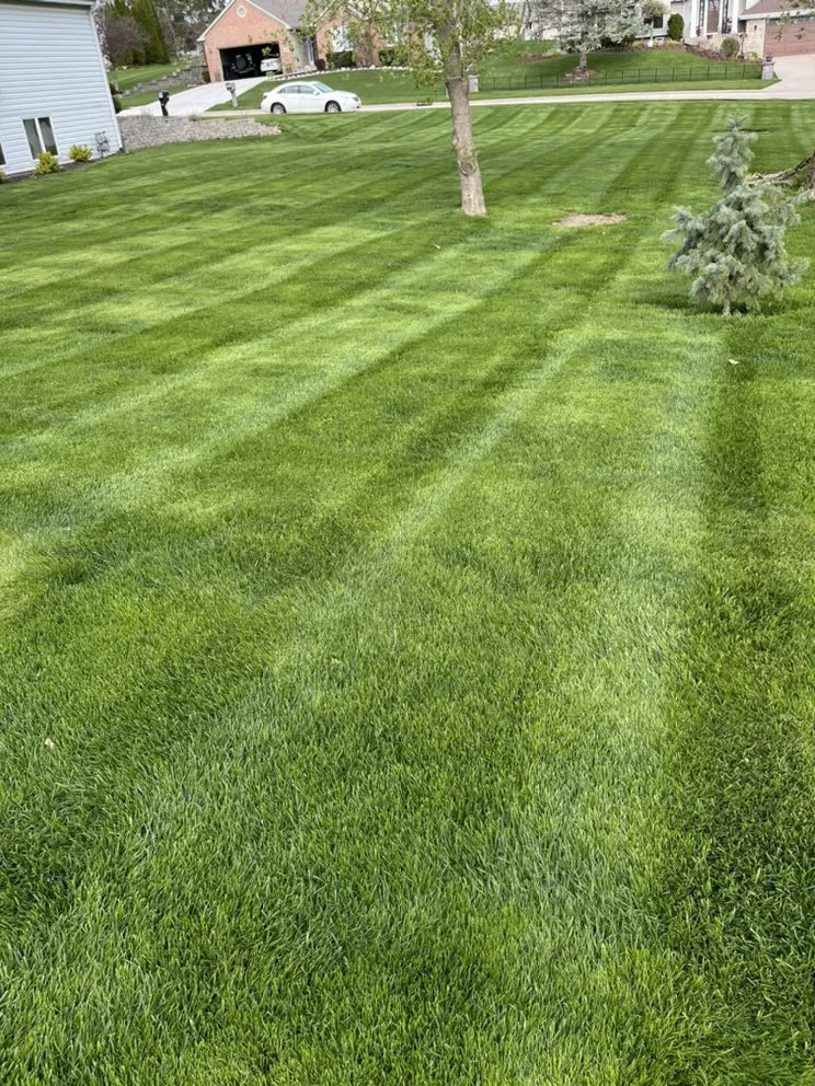 Custom landscape installation for homes across Rockford, IL - Noah’s Lawn Care