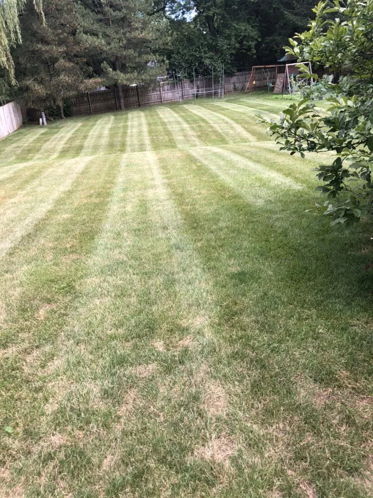 Expert yard cleanup service in Rockford, IL by Noah’s Lawn Care
