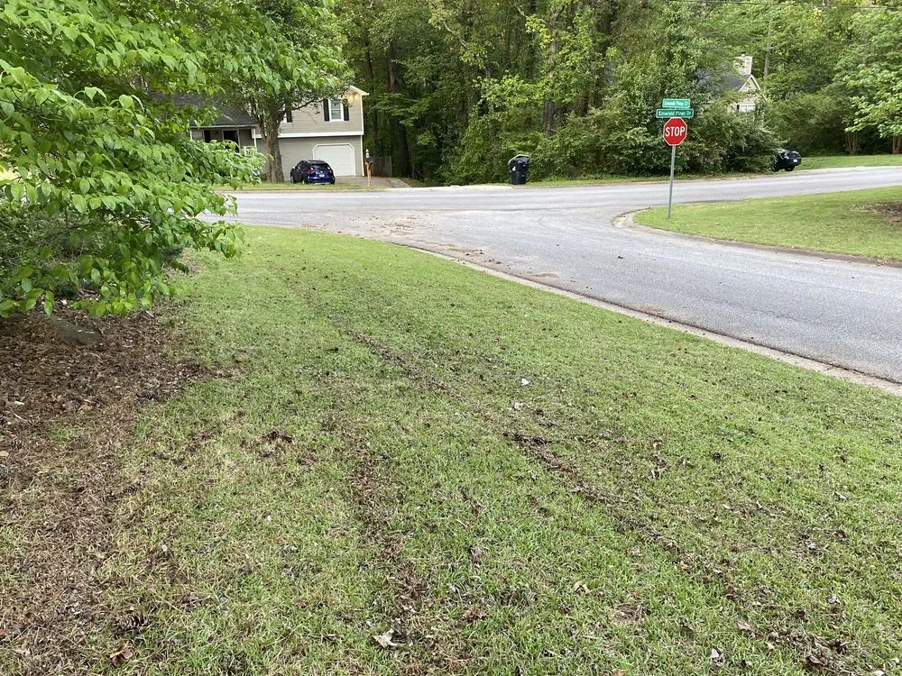 Trusted yard cleanup service for outdoor upgrades across Dallas, GA - Noah’s lawn service