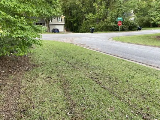 Noah’s lawn service Logo