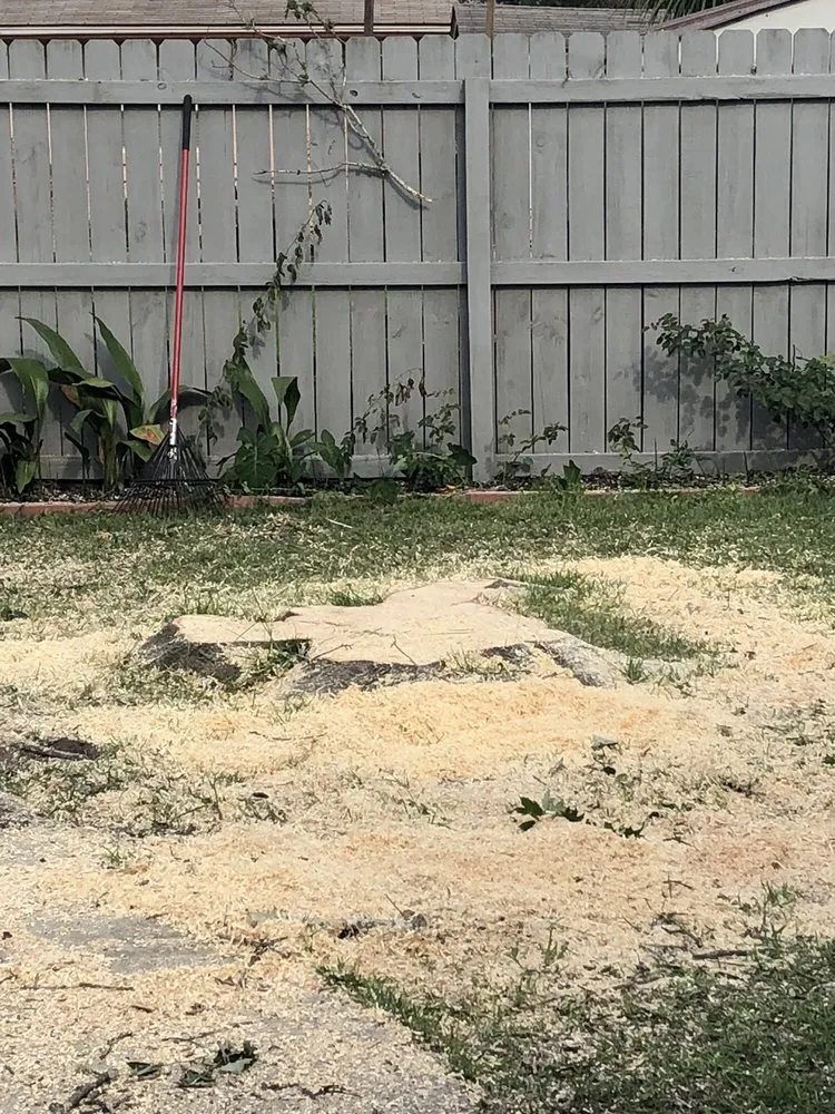 Top-rated yard maintenance experts serving Panama City, FL - Noahs Lawncare and Tree Service