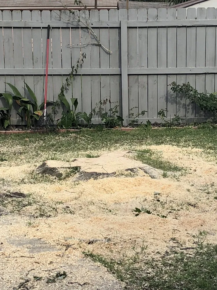 Reliable landscaping services experts serving Panama City, FL - Noahs Lawncare and Tree Service