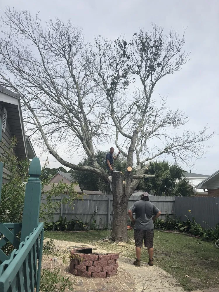 Custom landscape design for year-round maintenance across Panama City, FL - Noahs Lawncare and Tree Service