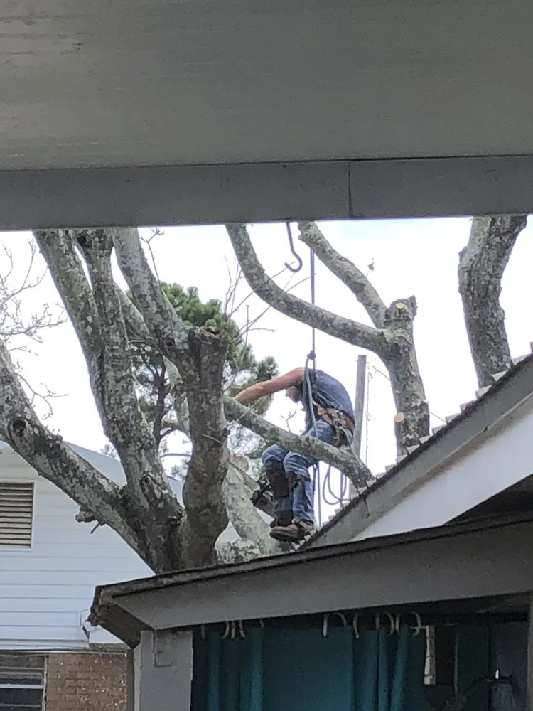 Custom lawn care service experts serving Panama City, FL - Noahs Lawncare and Tree Service