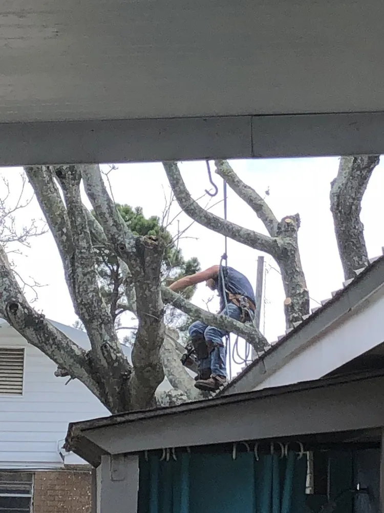 Affordable landscape installation in Panama City, FL - Noahs Lawncare and Tree Service