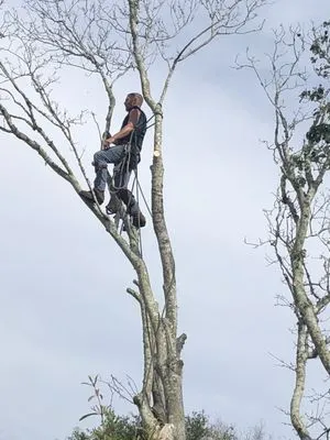 Noahs Lawncare and Tree Service