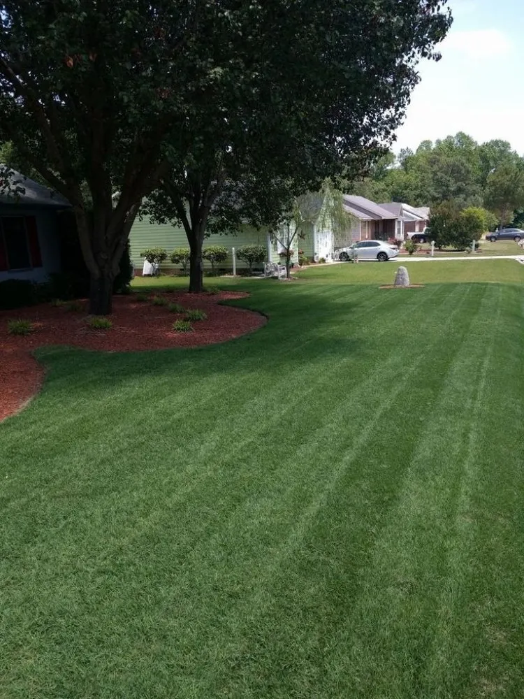 Custom lawn care service near you in Durant, OK by Noahs Trimming Business