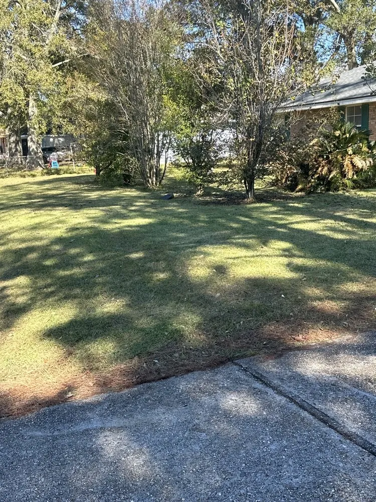 Local landscape design experts serving Carencro, LA - Nobe’s Pressure Washing and Landscaping