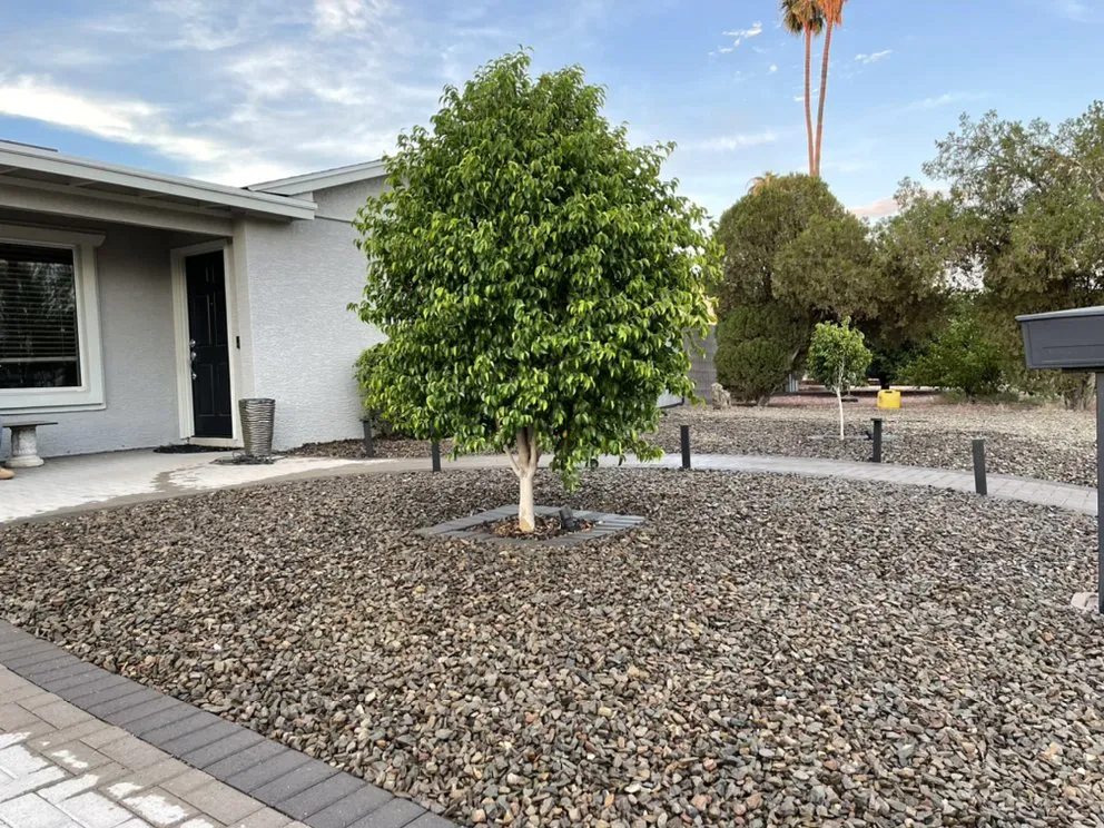 Top-rated landscaping services experts serving Laveen Village, AZ - Nobilis Yardscape