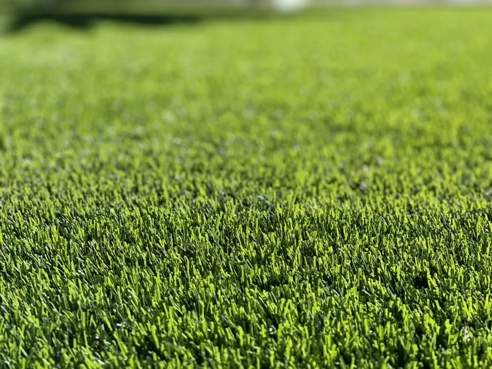 Custom residential landscaping in Laveen Village, AZ by Nobilis Yardscape