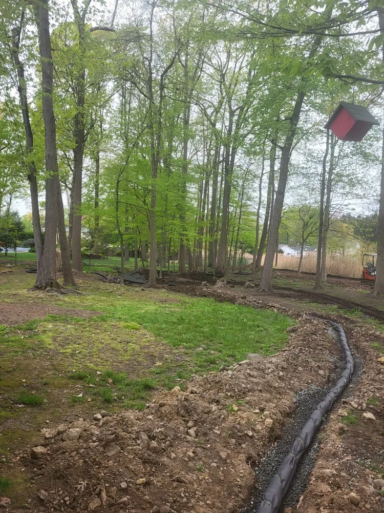 Trusted yard cleanup service for beautiful yards in Garner, NC by Nobility Sitework And Masonry