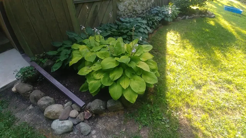 Professional yard cleanup service experts serving Rome City, IN - Noble County Lawn Care