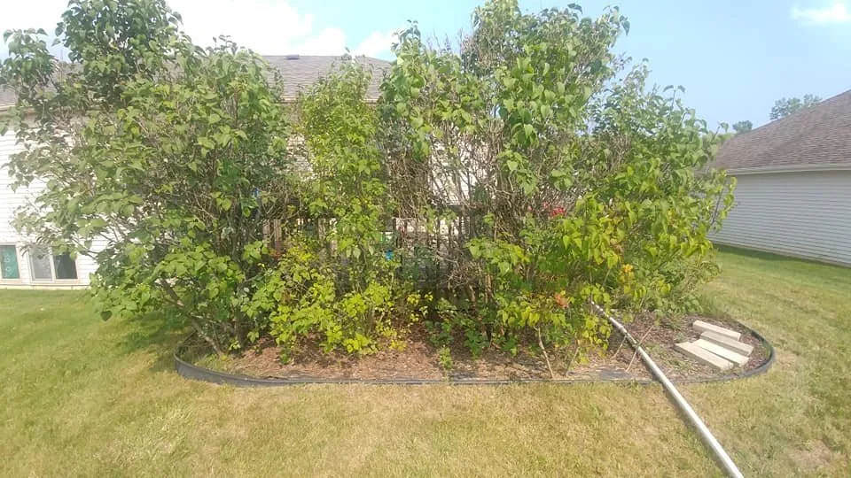 Custom residential landscaping for outdoor upgrades across Rome City, IN - Noble County Lawn Care