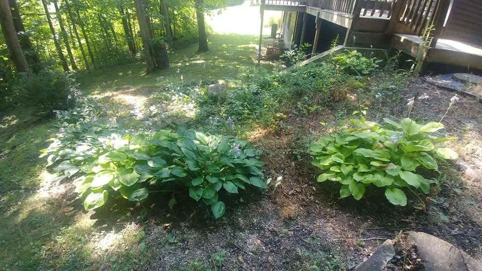 Affordable outdoor landscaping in Rome City, IN by Noble County Lawn Care