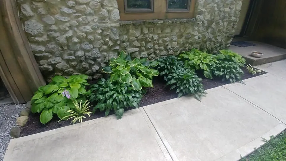 Affordable lawn care service for beautiful yards across Rome City, IN - Noble County Lawn Care