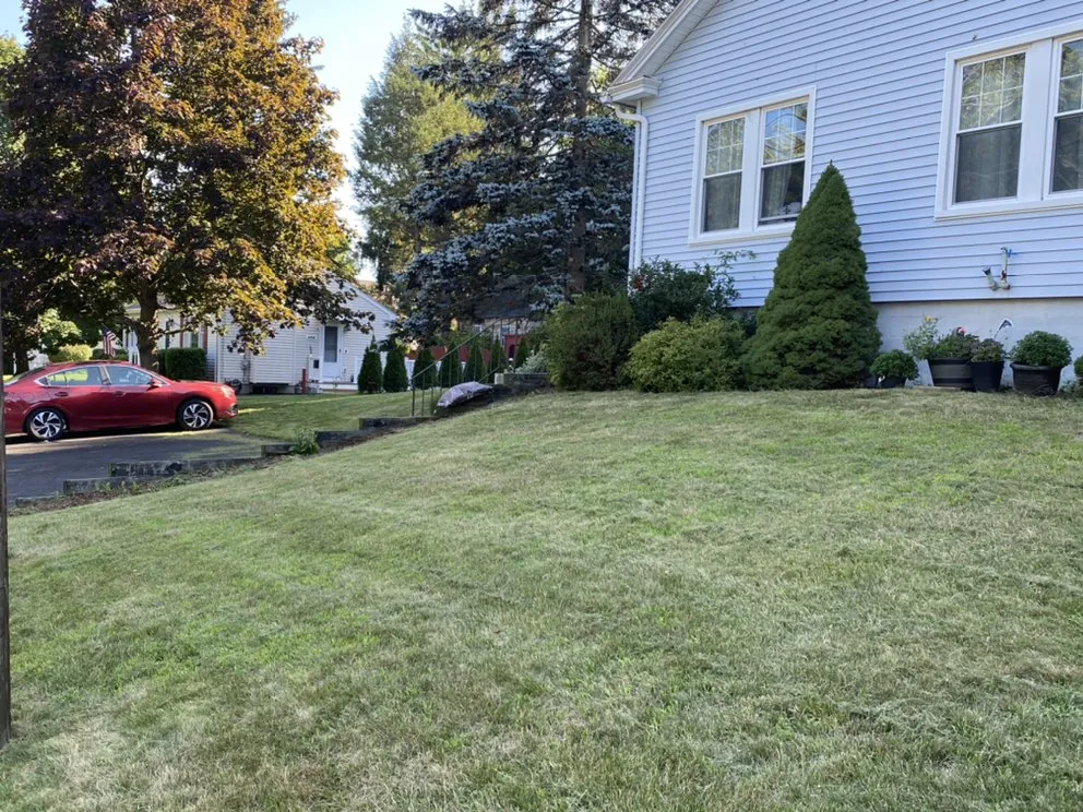 Local yard cleanup service for homes across Brooklyn, CT - Noble Craft Handyman