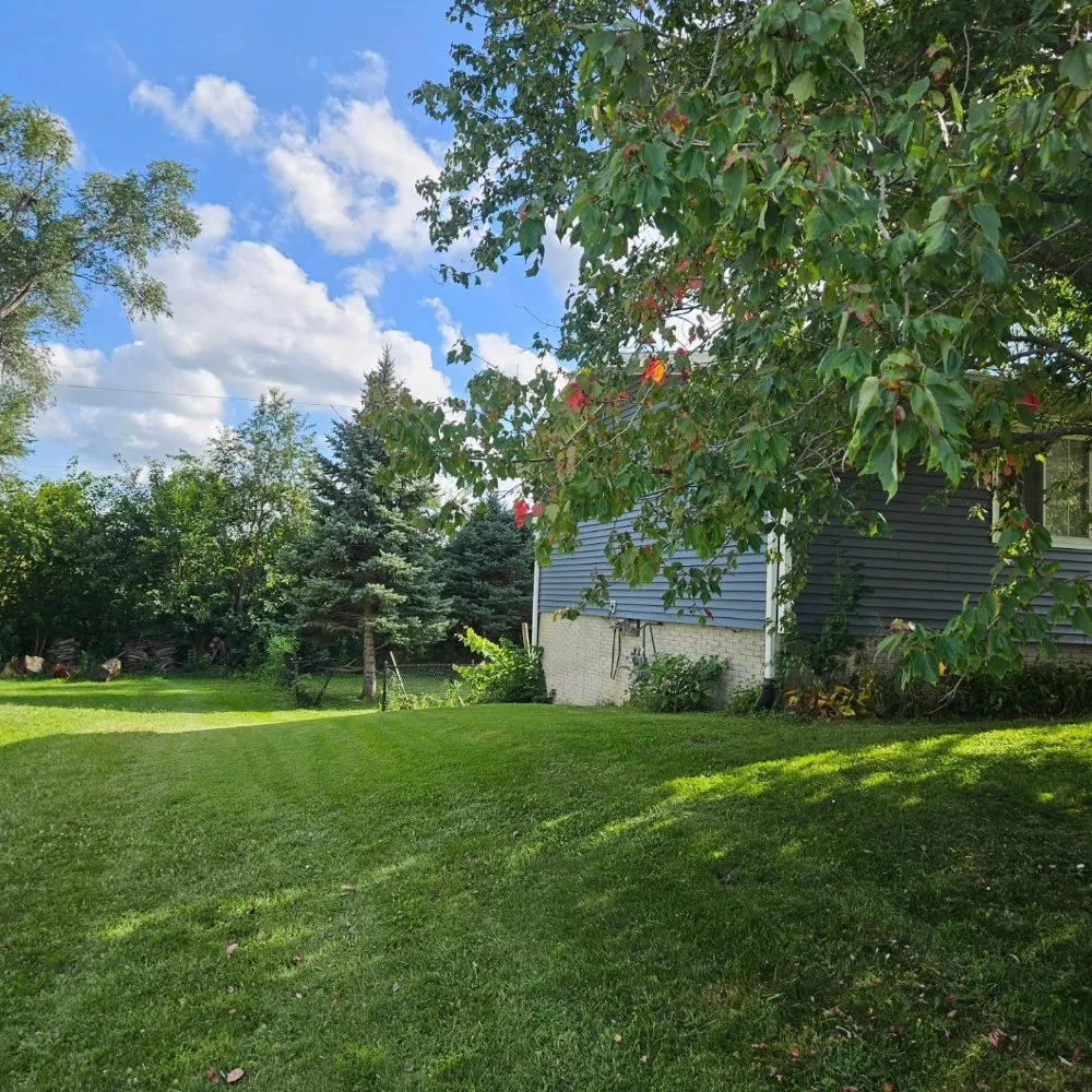 Affordable lawn care service in West Liberty, IA by Noble Custom Services