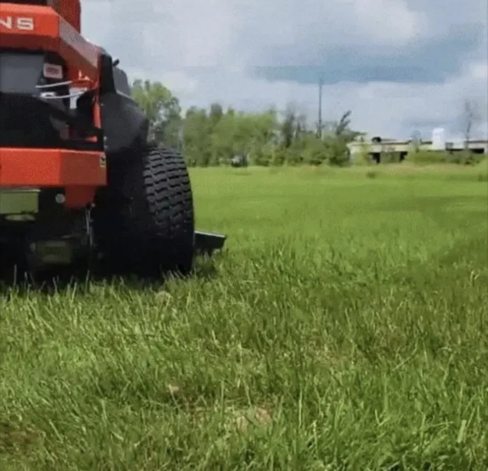 Professional lawn care service for year-round maintenance across Ocala, FL - Noble Green