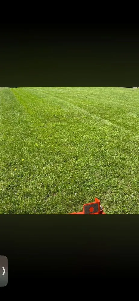 Reliable landscape design experts serving Ocala, FL - Noble Green