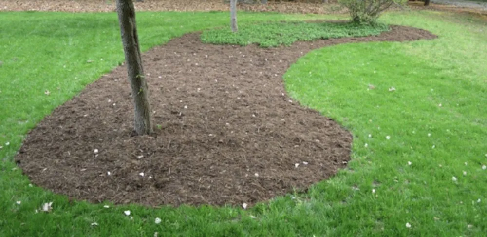 Professional residential landscaping experts serving Ocala, FL - Noble Green